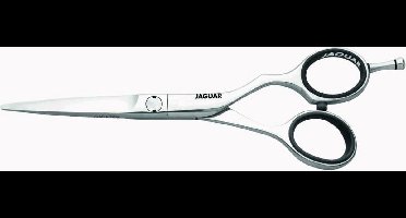 Jaguar Jaguar Schaar Euro-Tech 5.25 97525