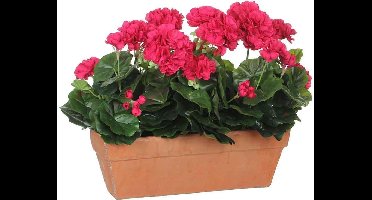 Kunstplant Geranium Donkerroze - H 40cm - Zandcement sierpot - Mica Decorations