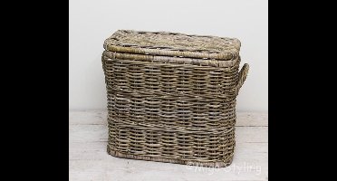 Opbergmand - Met deksel - 60x31xH55 - Rechthoek - Hengsels - Riet - Rotan