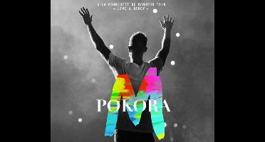 À la poursuite du bonheur tour: Live à Bercy 2012