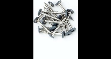 Dak&Gevel Kleurkopschroef 4.8 x 38 mm - RVS-A2 - antraciet RAL7016 - TX20 (Per 50 stuks)