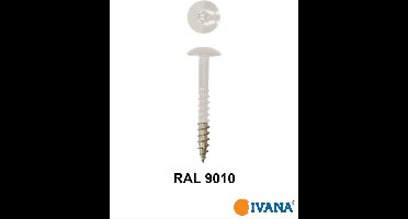 Ivana Gevelschroef t.b.v. Trespa RAL9010 Gebroken Wit TX-20 4.8x38 - 100St