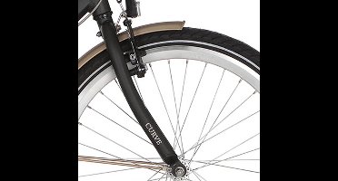 Alpina Voorvork 24 Curve diamond black matt