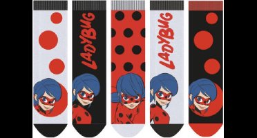 Miraculous Ladybug sokken - 5 paar - maat 27/30