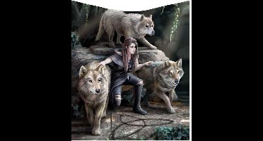 Nemesis Now Plaid Power of Three Multicolours