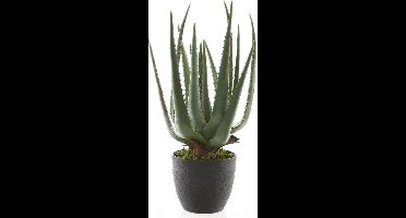 DECORIS ALOE VERA IN POT 40CM - GROEN KUNSTPLANT