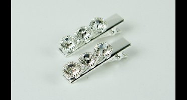 Duckklem zilverkleurig 3 strass stenen