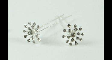 Haarpinnen bloem groot van 17 strass points