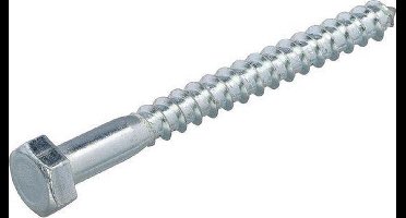 Houtdraadbouten - DIN571 Zeskant - M10 x 340mm - Verzinkt (25 stuks)