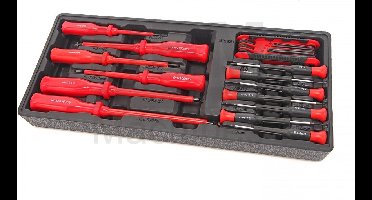 HBM 22-delige schroevendraaierset inlay voor HBM gereedschapswagen