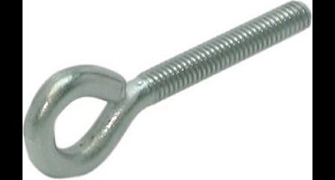 Gb Schroefoog met metrisch draad 50 x 10mm diameter 5.25mm RVS 304 80015151