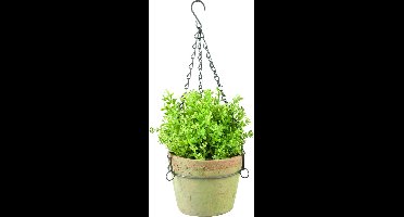 Buiten Plantenhanger Aged Terracotta