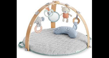 Bright Starts Ingenuity Speelkleed - Babygym - Activiteiten Gym - Cozy Spot  - Speeltapijt baby - houten boog