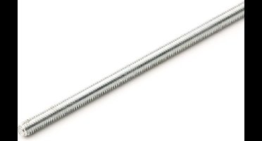 Hoenderdaal draadeind RVS A2 M12 x 1000 mm