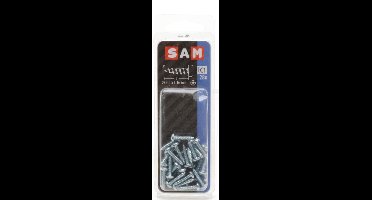 30X SAM Metaalschroef cyl.kop + moer 3x10mm C2 816206