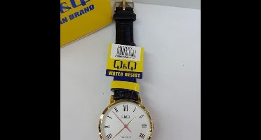 Dameshorloge leren band QA21J107Y