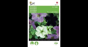 Buzzy Zaden - Petunia Sophistica F1 Mix