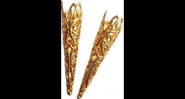 Luxe verenpuntje goud