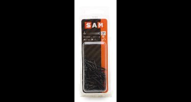 SAM Staalnagel bolverzonken kop 2x20mm ca. 40 gr. 815164