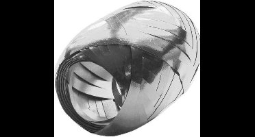 Haza Original Cadeaulint 20 M X 0.5 Cm 24 Stuks Metallic Zilver