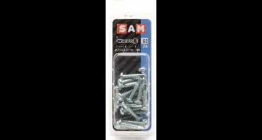 20x SAM Zelfborende schroef cyl. kop D2 816082