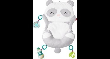 Fisher Price Alles-in-één Pandaspeelmat