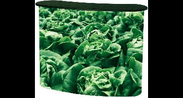 Counter Magnetic Tafelblad Licht Eiken - Syna CMTTLO