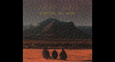 Vivian Girls - Everything Goes Wrong (CD)
