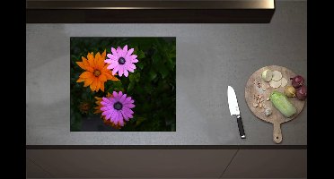 Inductieplaat Beschermer - Bovenaanzicht van Roze en Oranje Spaanse Margietjes Bloemen in de Struiken - 57x51 cm - 2 mm Dik - Inductie Beschermer - Bescherming Inductiekookplaat - Kookplaat Beschermer van Wit Vinyl