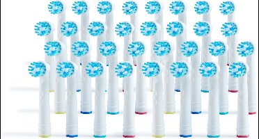 My Care + Opzetborstel 32 stuks - Vervangende borstels voor Oral B - Pro Active