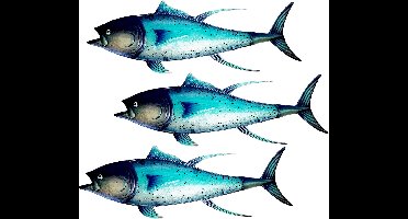 Eurocatch Tonijn Wanddecoset - Muurdecoratie - 80cm - 3-D Metaal en Glas - Kunst - Cadeau Tip - Vaderdag Cadeau