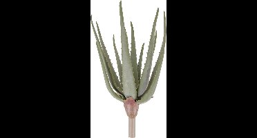 Present Time Kunstplant Aloe Thorn Stem 39,4 Cm Groen