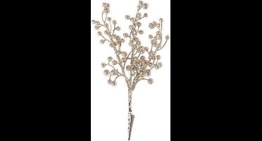 Cosy @ Home Bessen Clip Champagne Kunststof 0x0xh20,