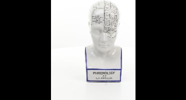 Beeld - Frenologie hoofd - Porselein - 30 cm hoog