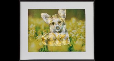 Diamond painting | Hond| Afmeting: 40 x 50 CM | Inclusief diamond painting pen | Diamond painting volwassenen