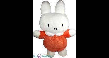 DC Schuimfixatie 1000ml