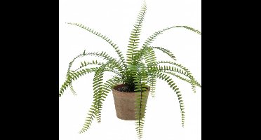 Emerald Kunstplant Krulvaren - H 60 cm