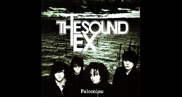 Palomino