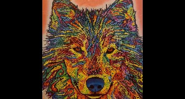 Toi Toys Diamond painting 20x20 CM dieren EXTRA glans | diamant schilderen | wolf