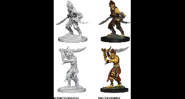 D&D Nolzur's Marvelous Miniatures - Githyanki – 2 miniaturen