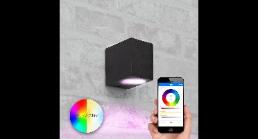 Zwarte wandlamp voor buiten met slimme Milight GU10 spot - Recht