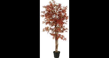 Mica Decorations Kunstboom Esdoorn - 165x80x165 cm - Polyester - Rood