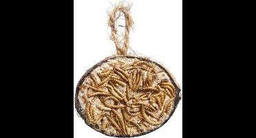 Tweetfeed Cocosnoot + vet + meelwormen