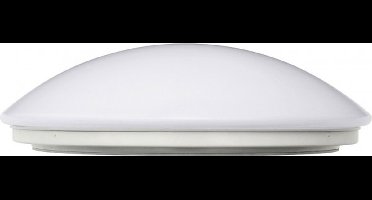 Led Pavo met bewegingssensor 29 cm | 12 W | 4000K