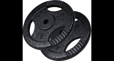 Gorilla Sports Gewichtsschijven - 2 x 15 kg - Halterschijven - Gietijzer - Zwart - 30 mm