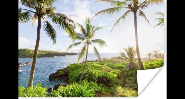 Poster De tropische flora en fauna langs de kust van Hawaii - 30x20 cm