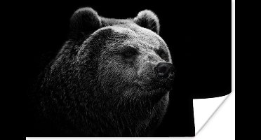 Poster Beer - Licht - Zwart - 30x20 cm