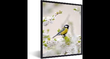 PosterMonkey - Poster - Fotolijst - Vogel - Koolmees - Bloemen - Bloesemboom - Wit - 30x40 cm - Poster vogels - Poster bloemen - Foto met lijst - Posterlijst
