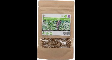 Veldsla Grote Noordhollandse 25g
