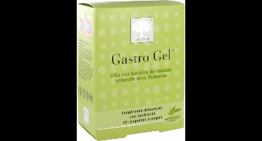 New Nordic Gastro Gel 60 Tabletten